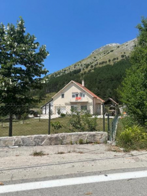 Family house on the mountain - Krstac, Njegusi